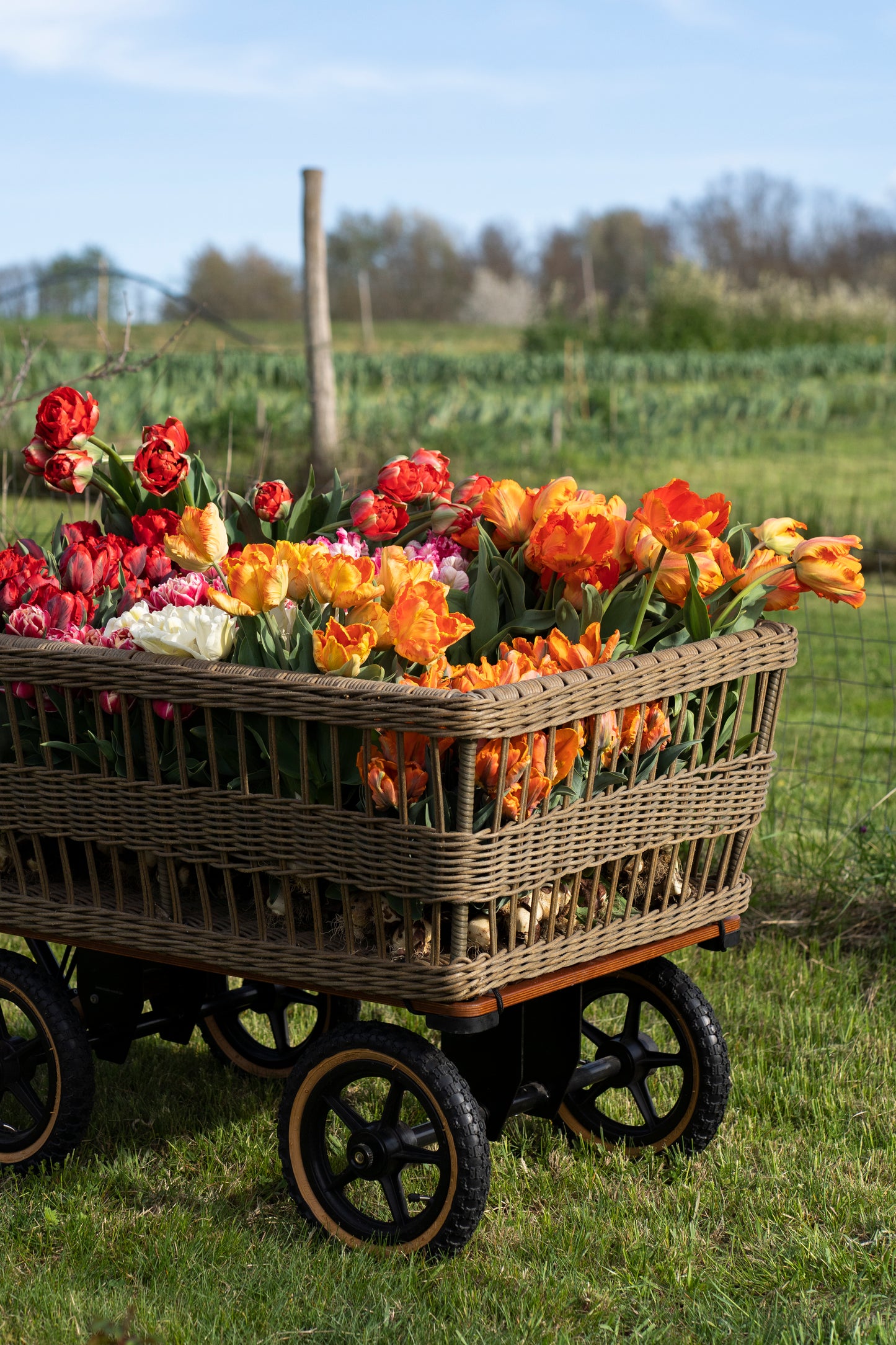 Wagon met gevlochten mand