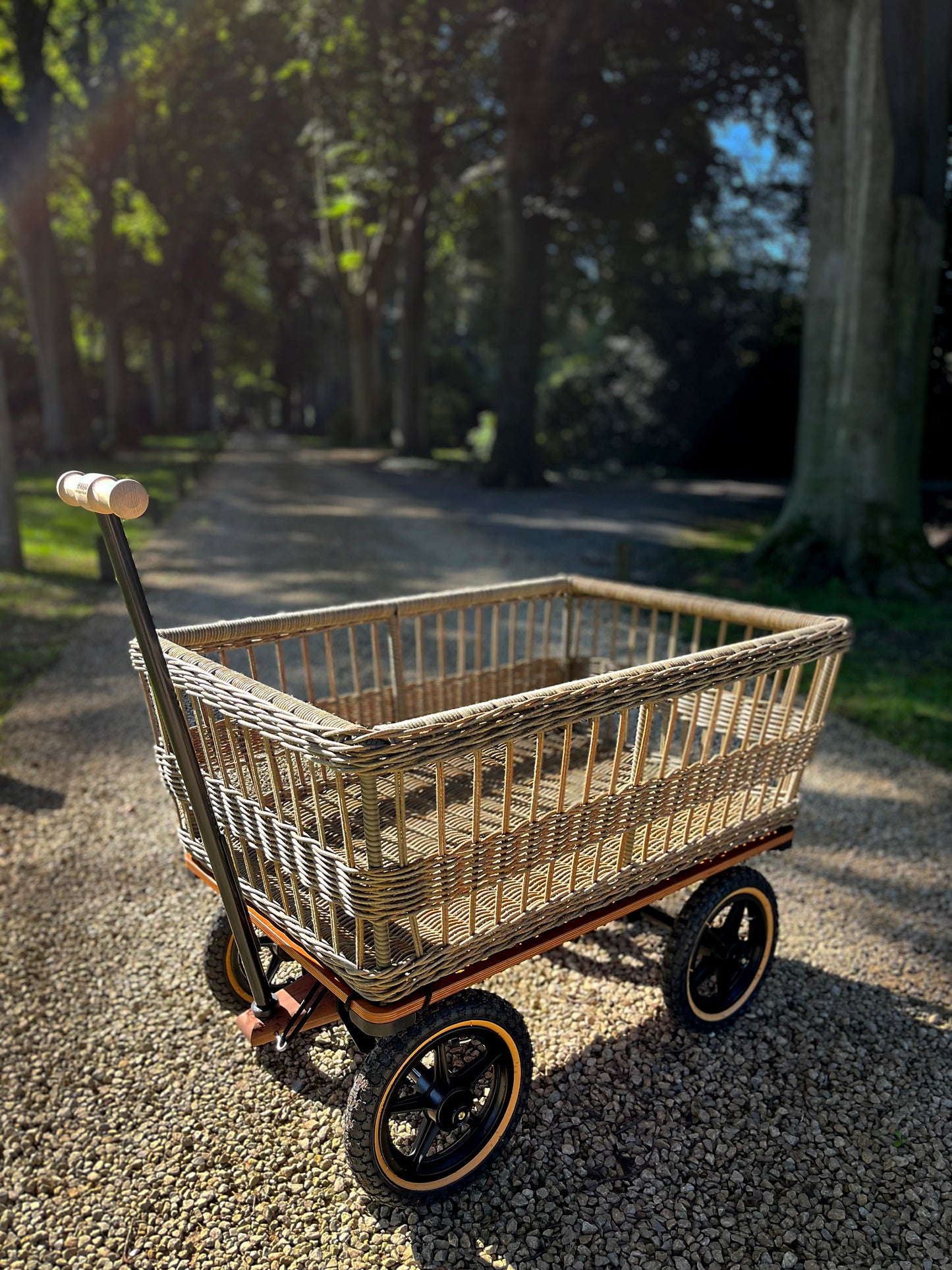 Wagon met gevlochten mand
