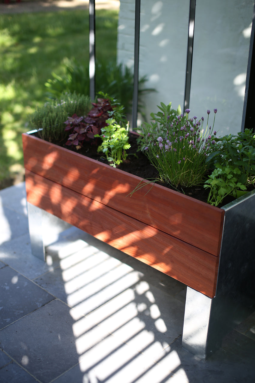 1/2  Cult Tradewinds Planter