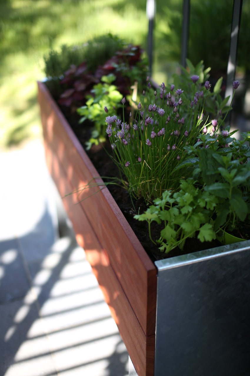 1/2  Cult Tradewinds Planter
