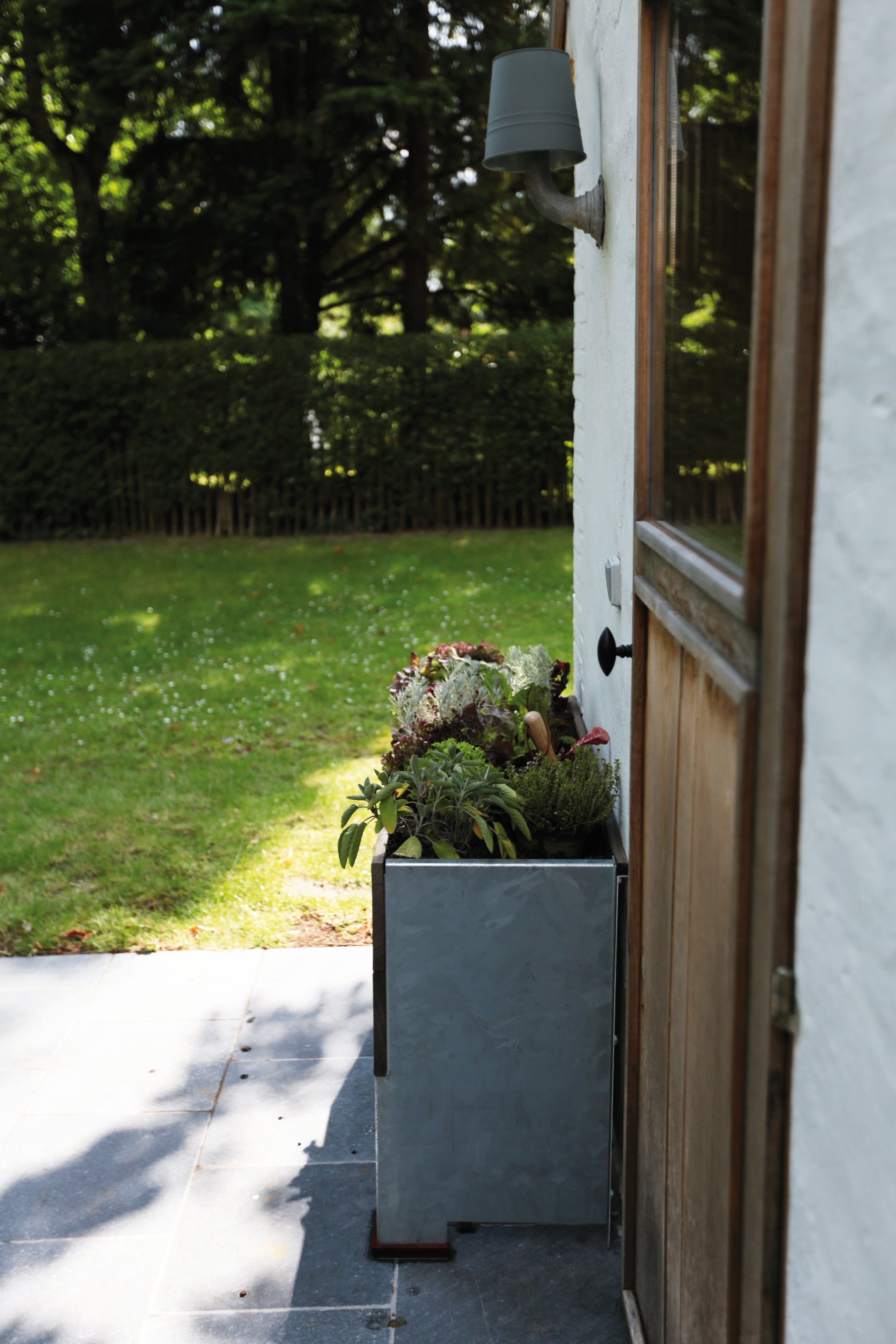 1/2  Cult Tradewinds Planter