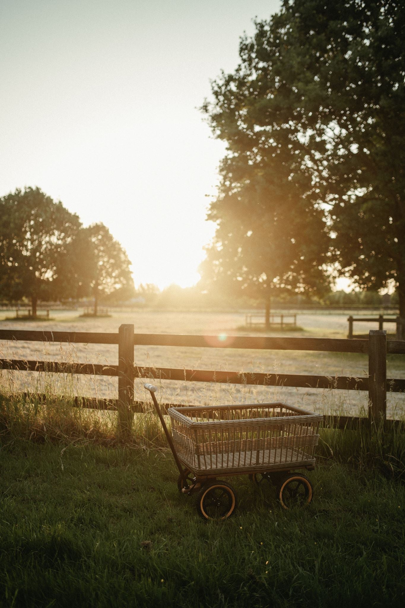 Wagon avec panier 
