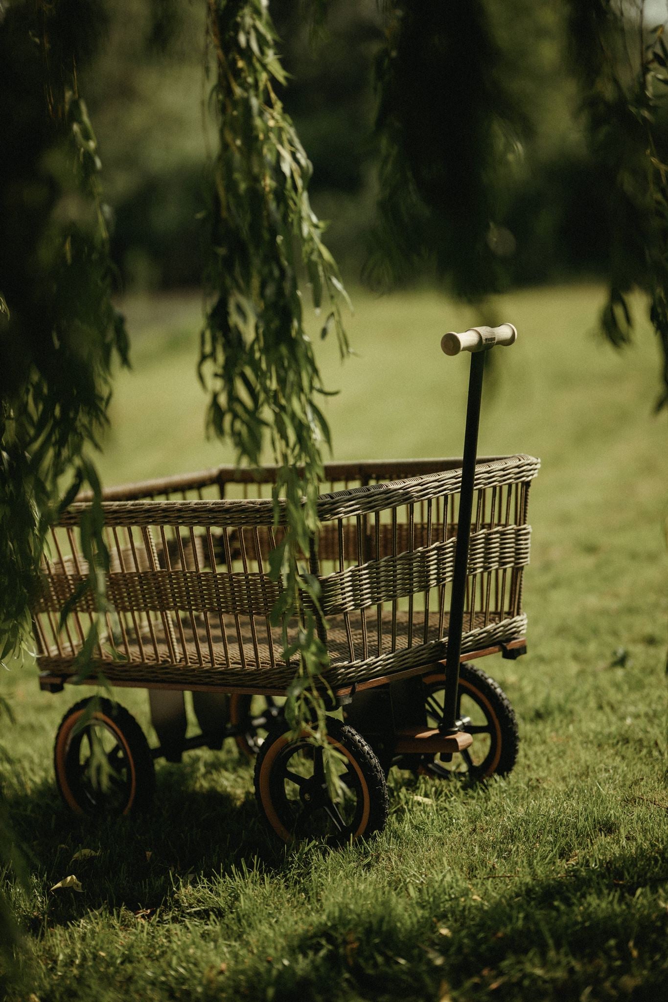 Wagon avec panier 