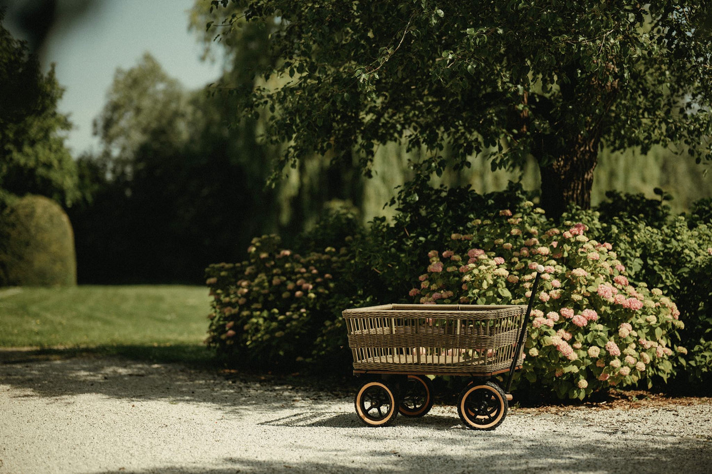 Wagon avec panier 