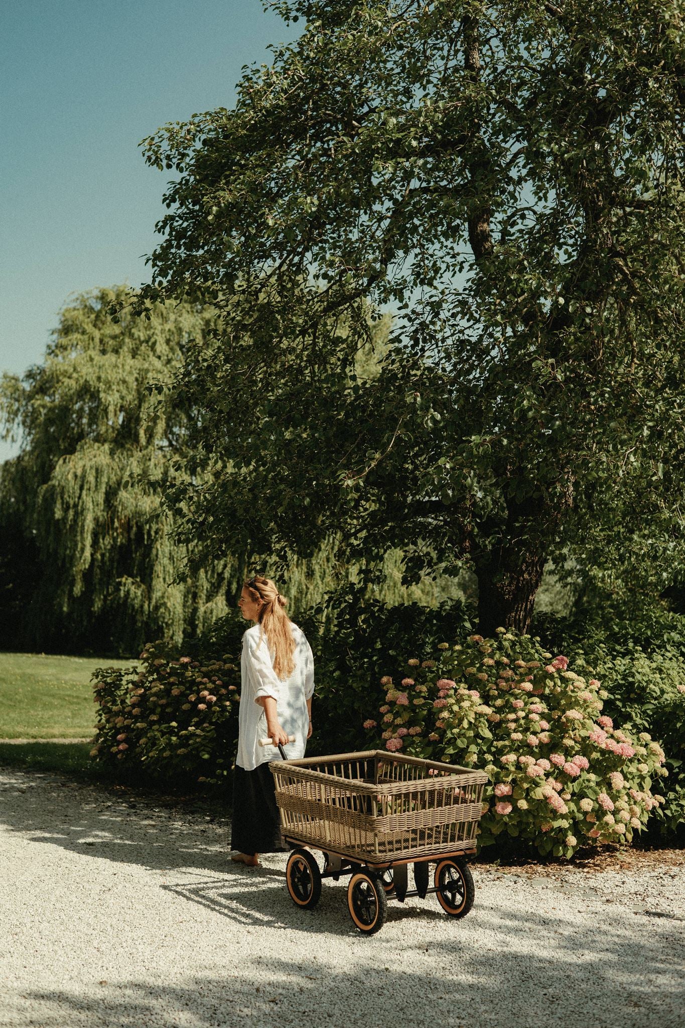 Wagon avec panier 