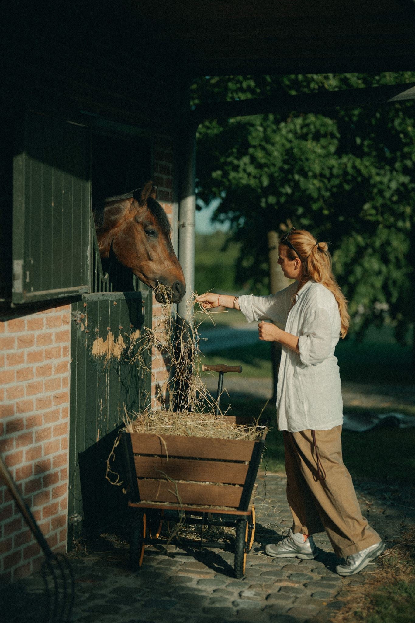 The Plank Wagon