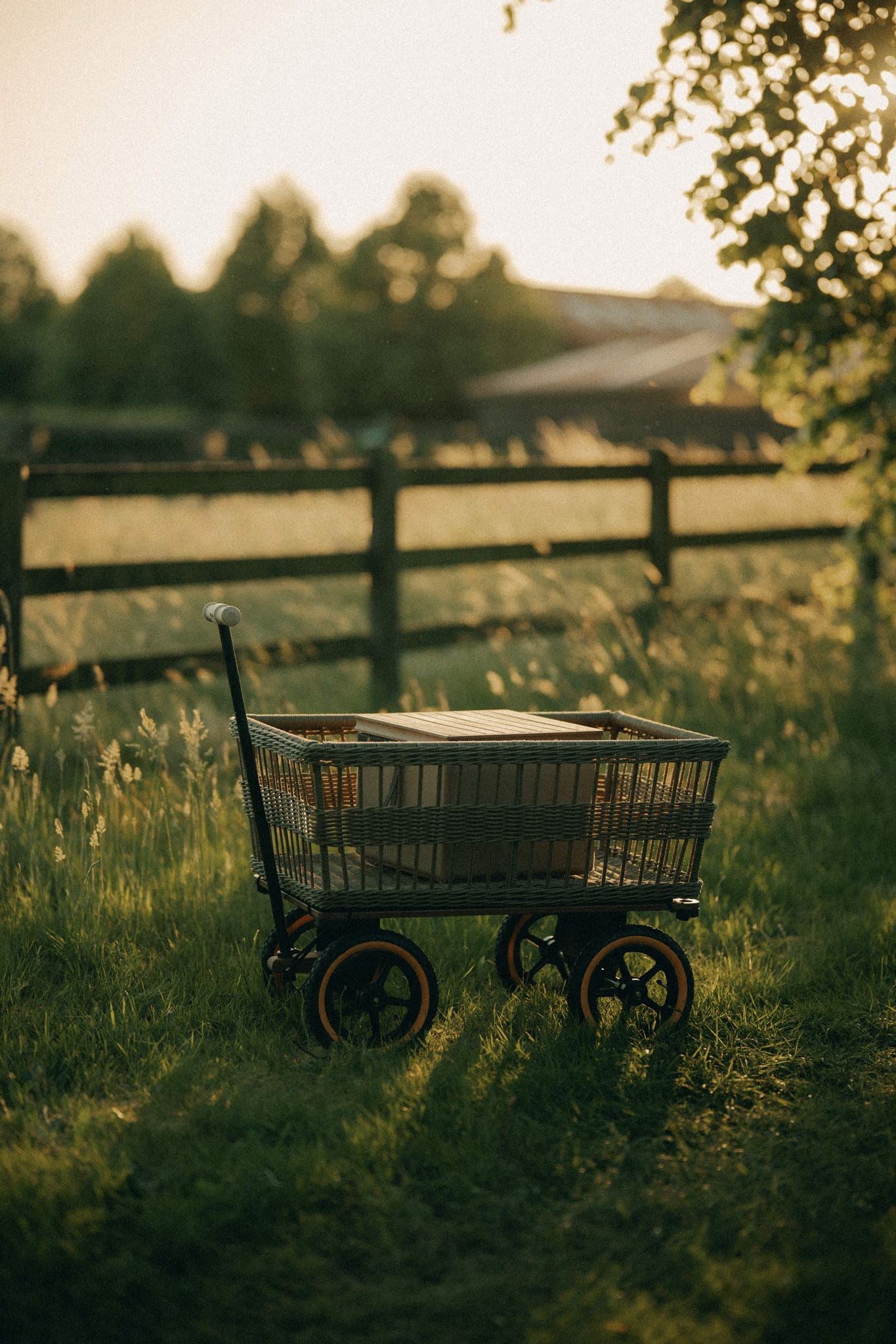 Wagon avec panier 