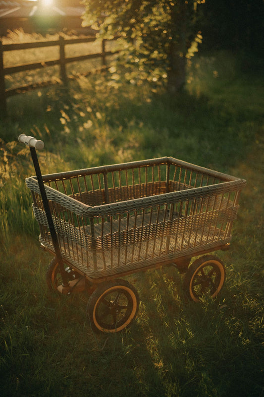 Wagon with woven basket