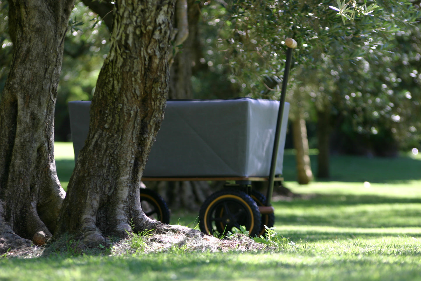 The Wagon
