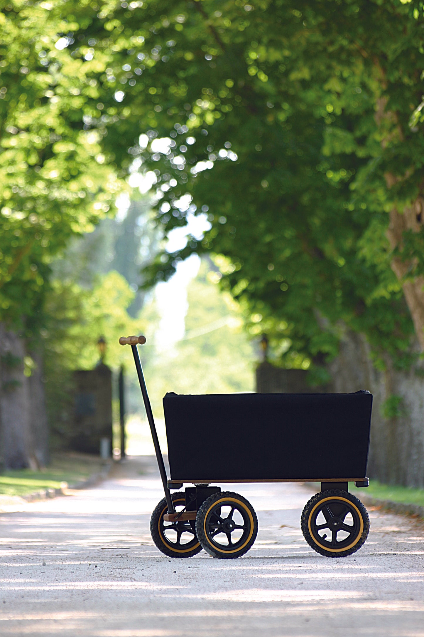 The Wagon