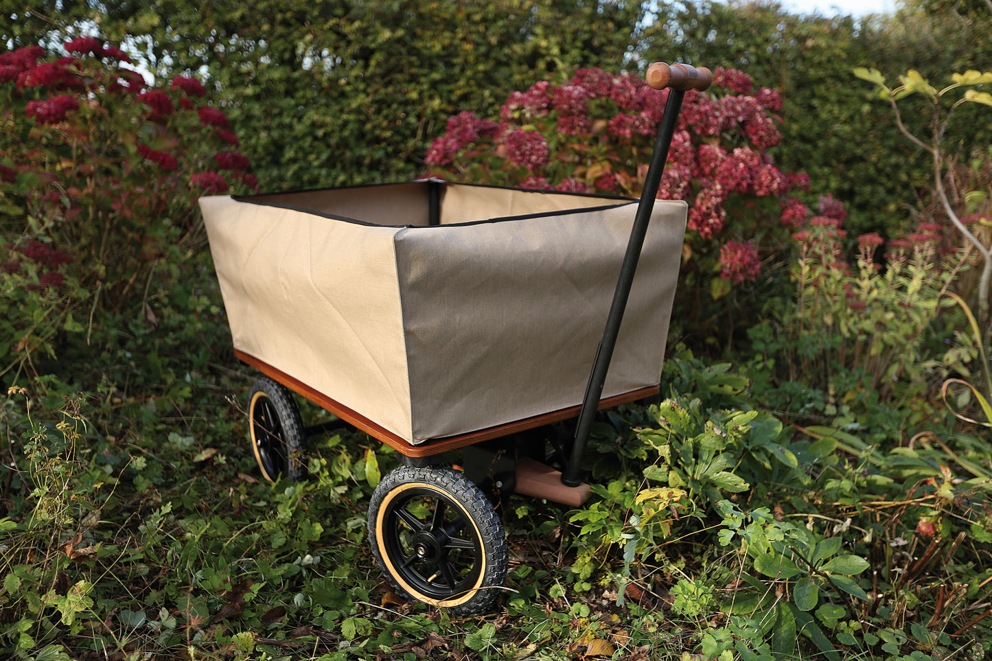 The Wagon