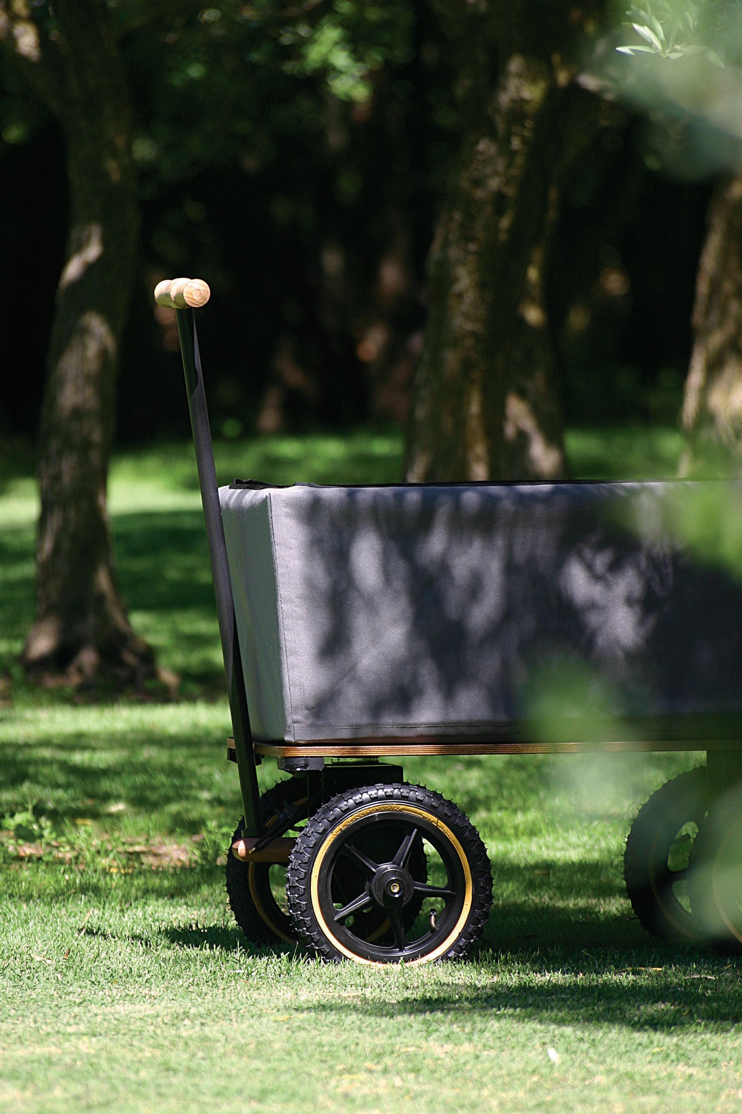 The Wagon